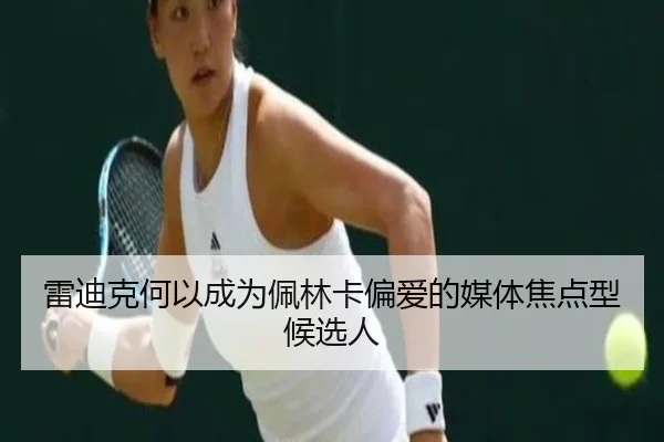 雷迪克何以成为佩林卡偏爱的媒体焦点型候选人 | MILANSPORT